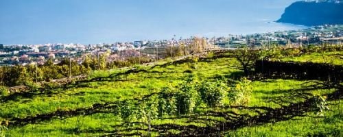 Finca Marañuela