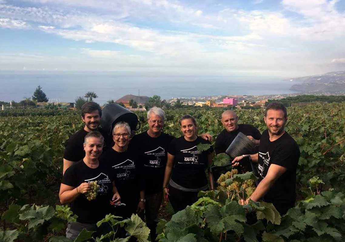 Bodega La Haya La Cruz Santa