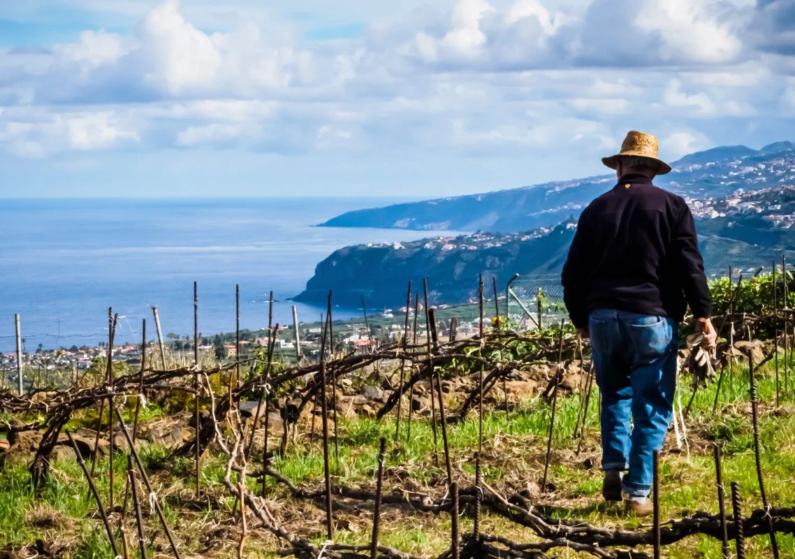 Bodega Finca Marañuela