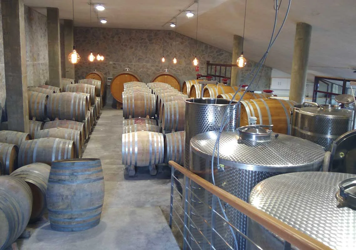 Bodega - Suertes del Marqués