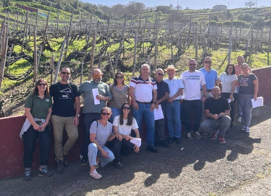 la viticultura regenerativa