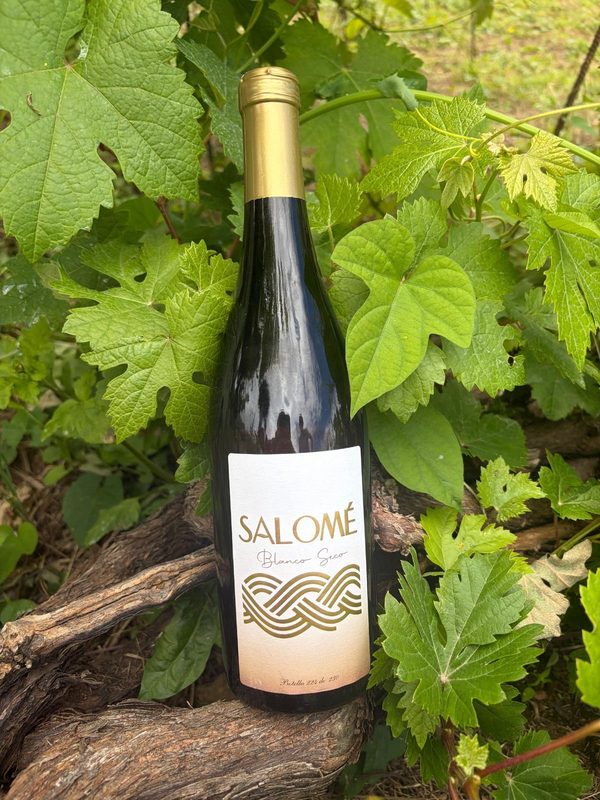 Vinos Salome La Orotava