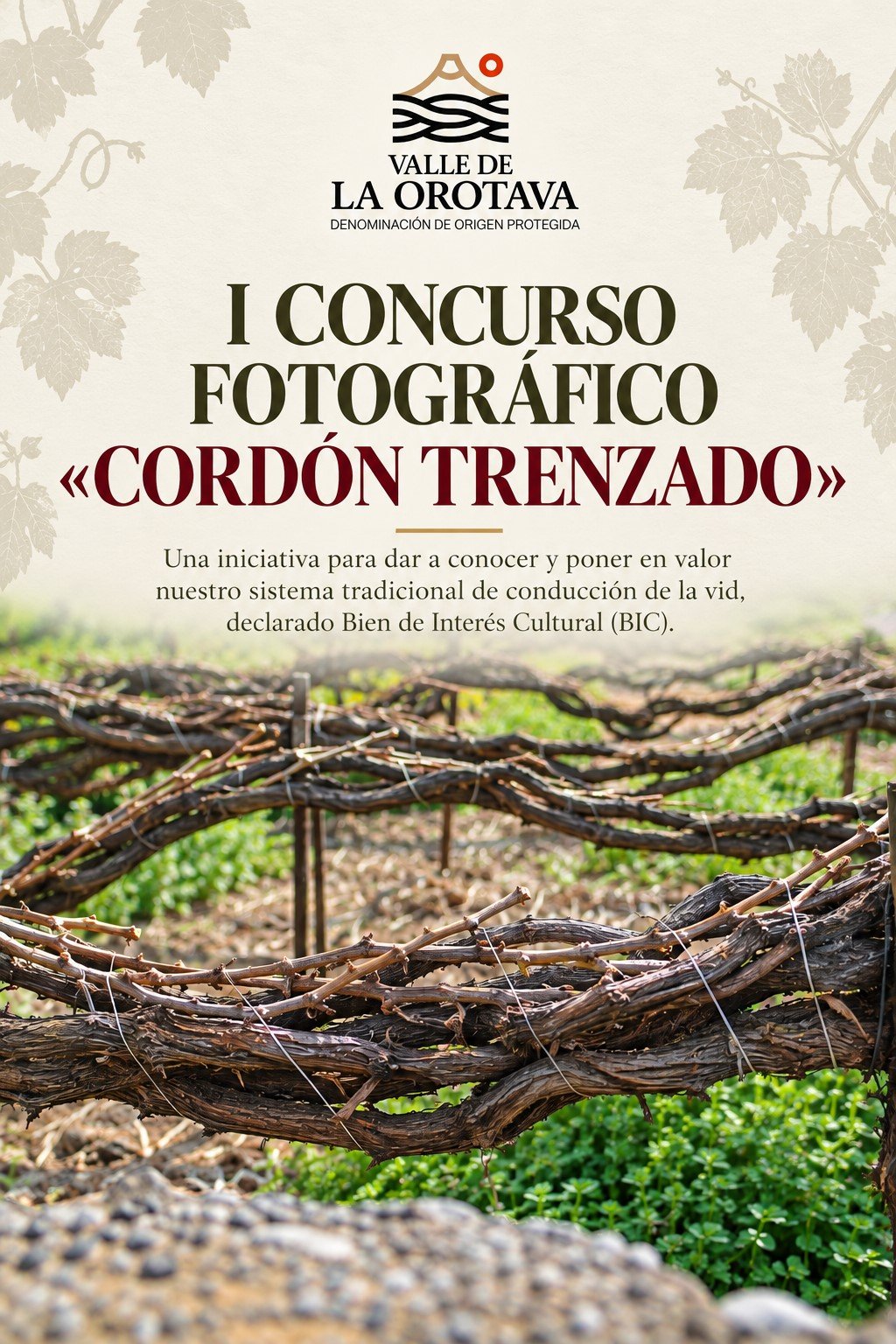 Concurso Fotográfico Cordón Trenzado Rueda de prensa Elegido