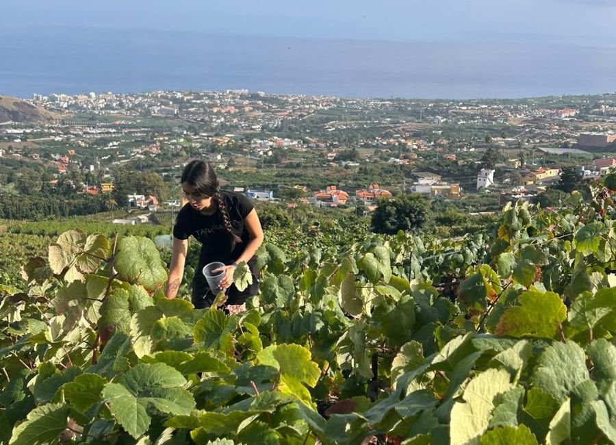 Día Internacional de la Mujer Rural