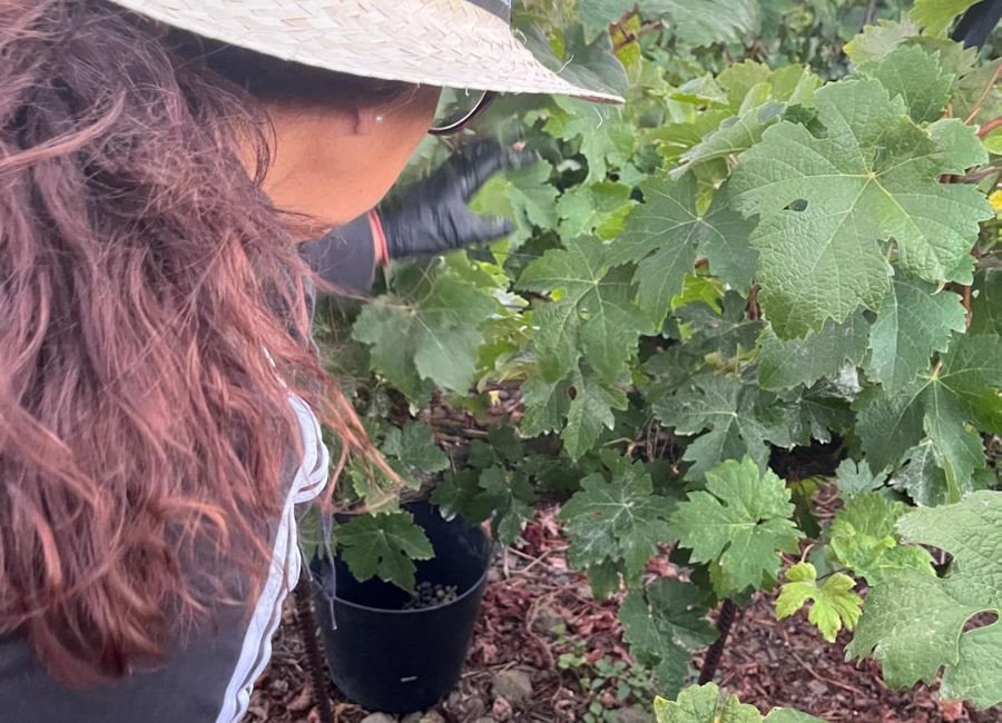 Día Internacional de la Mujer Rural