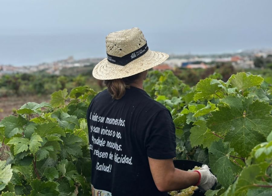 Día Internacional de la Mujer Rural